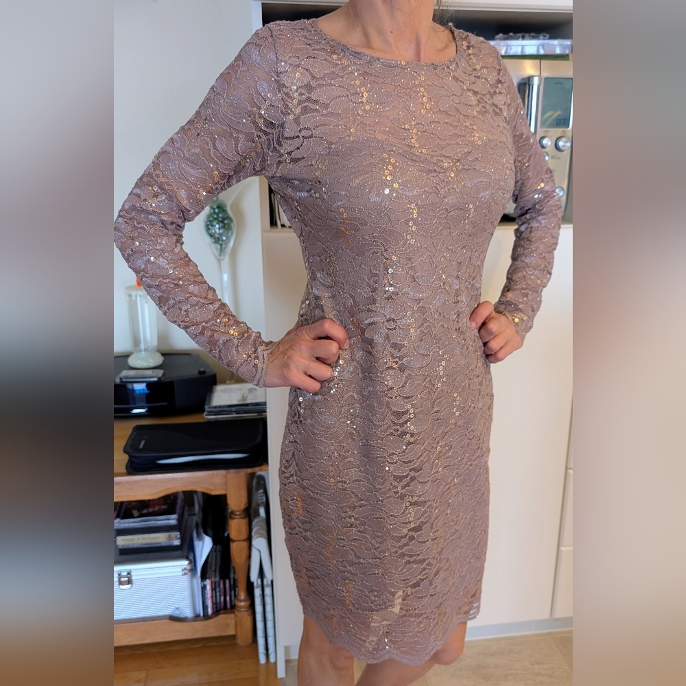 Jump Long Sleeve Taupe Sequin Lace Dress